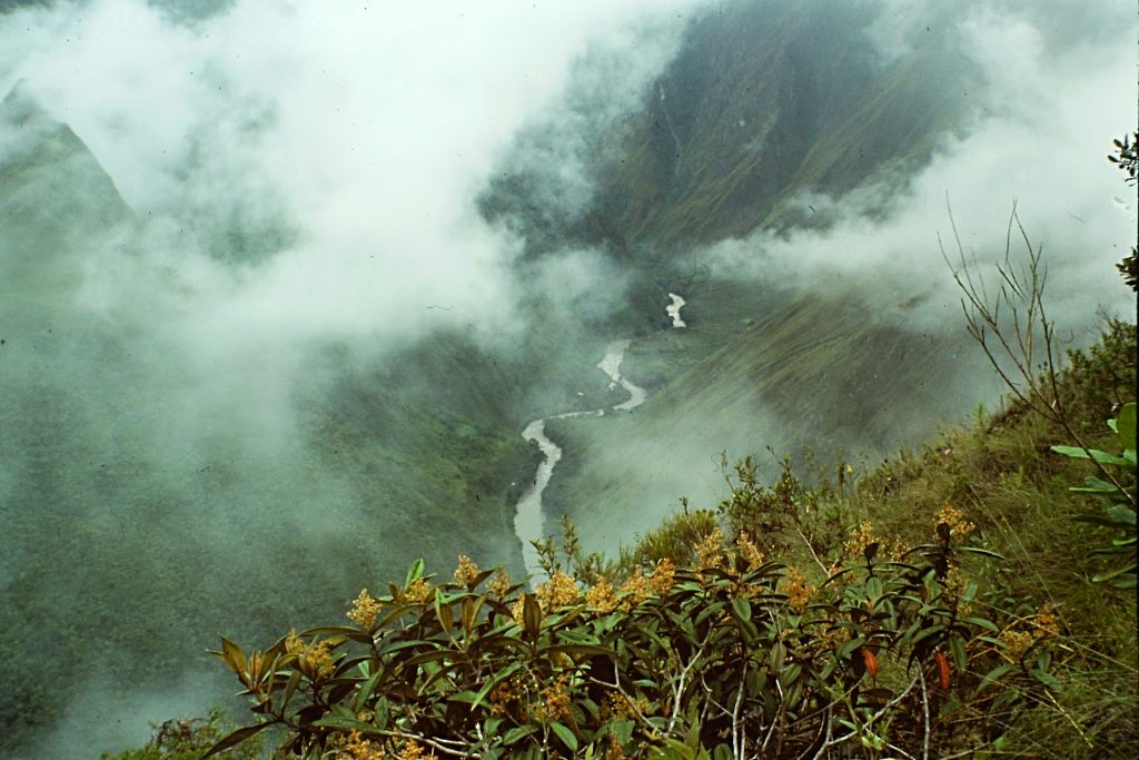 The Urubamba heading toward the Amazon River 5,000 feet below me.