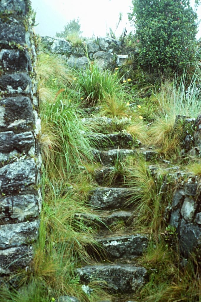 Nearing the top of the steps.