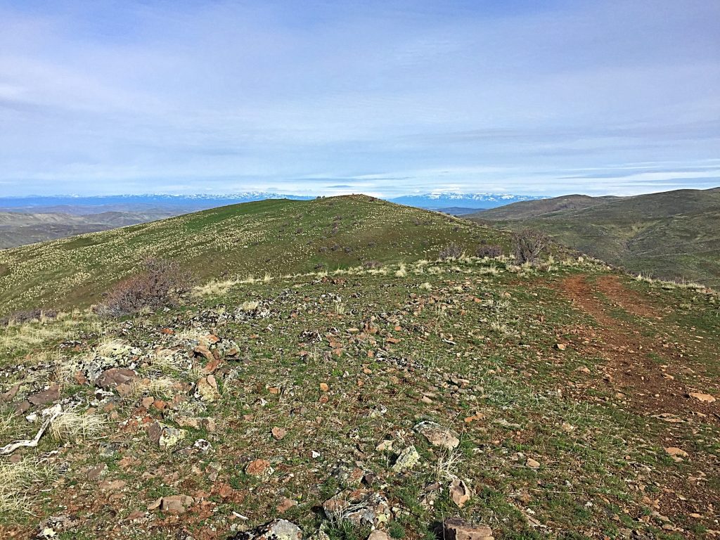 Peak 4767 viewed from its southern summit, the Payette County High Point.