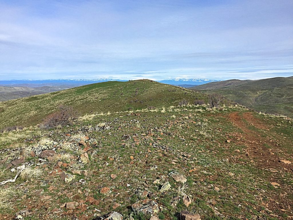 Peak 4767 viewed from its southern summit, the Payette County High Point.