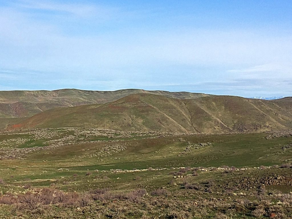 Peak 4105 in the foreground viewed from Peak 4767. The farther ridge also has prominence although access to it is unknown.