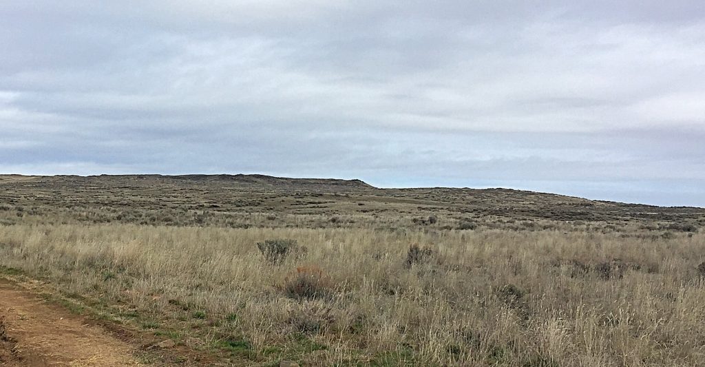 The Snake River Plain is a massive area where perspective is often difficult to comprehend. When you are on top of Wildhorse Butte you realize you are significantly "up in the air" but when you look at the butte from a distance it only appears as a slight rise.