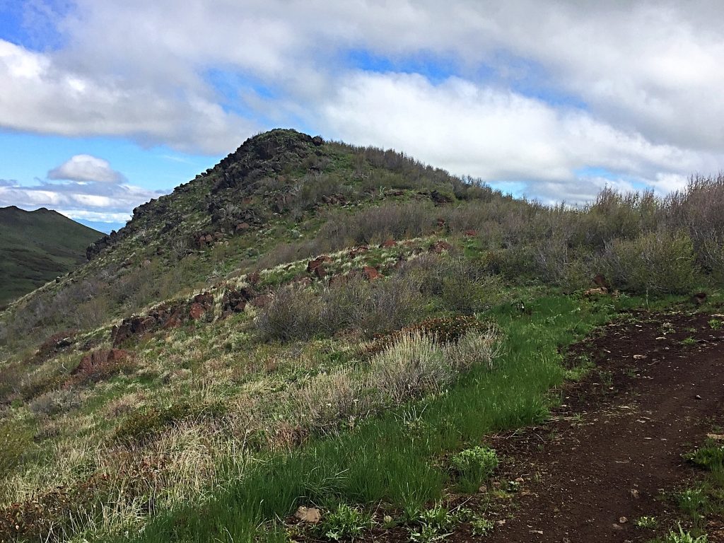 Leave the road at this point and make the short bushwhack to the summit.