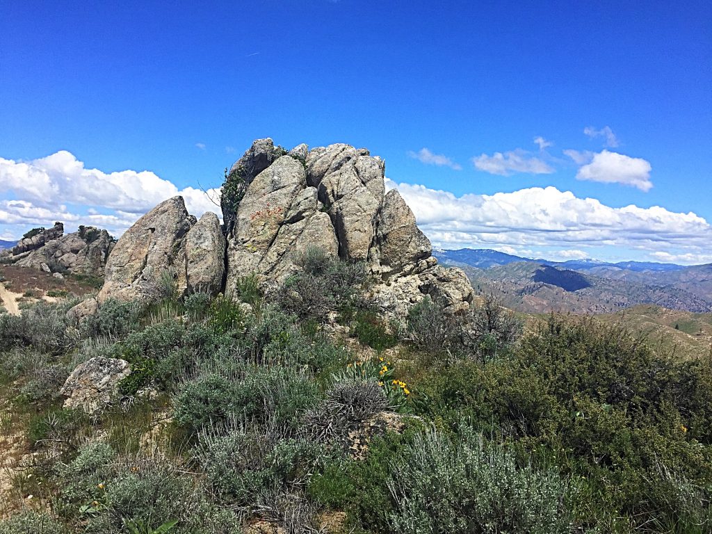 I believe the highest point on Fiddler BM is located on top of this granite out crop. A short Class 3 scramble will get you on top.