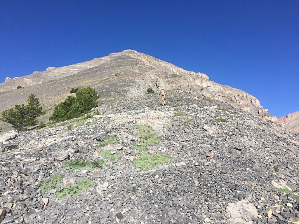 Looking up the east ridge from just above treeline.