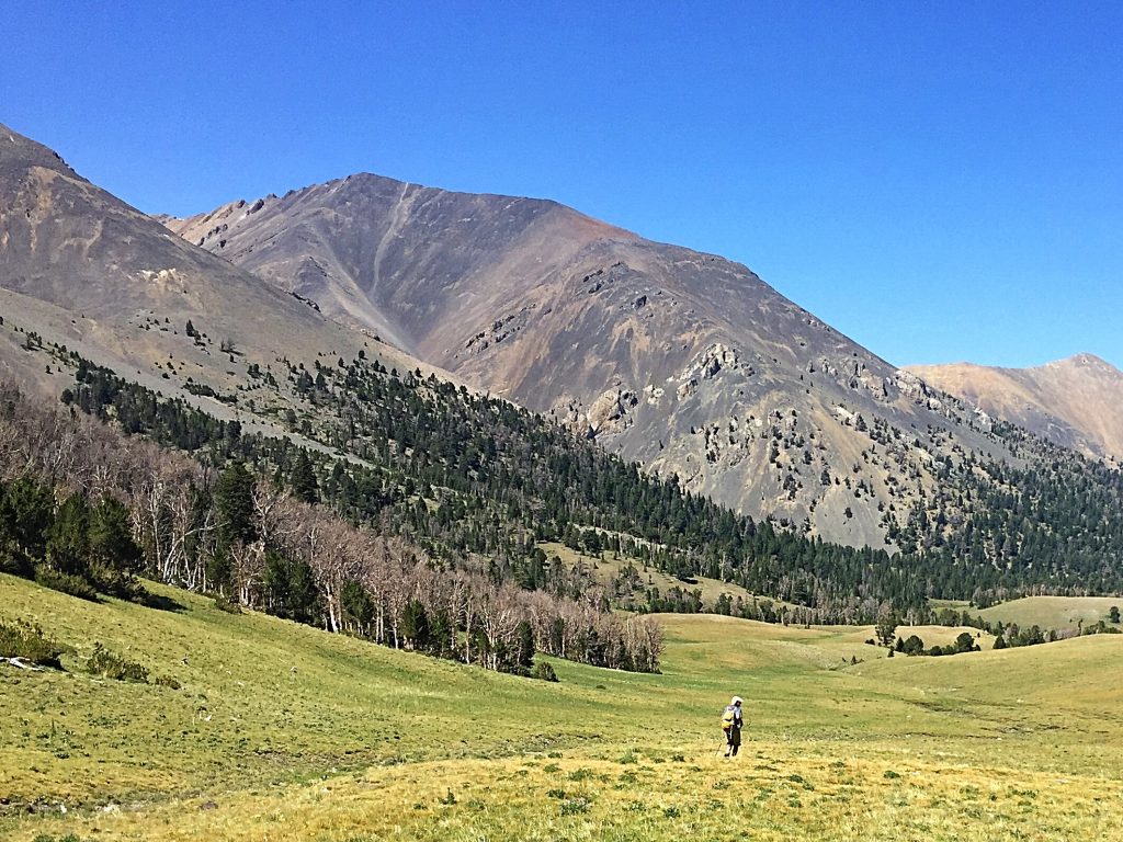 Mahogany Trident from upper Mahogany Creek. The east ridge is on the right.