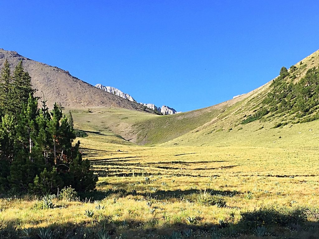 The 9482 Pass at the head of Mahogany Creek. The north ridge climbs up toward Point 11715 on the left side of the photo.