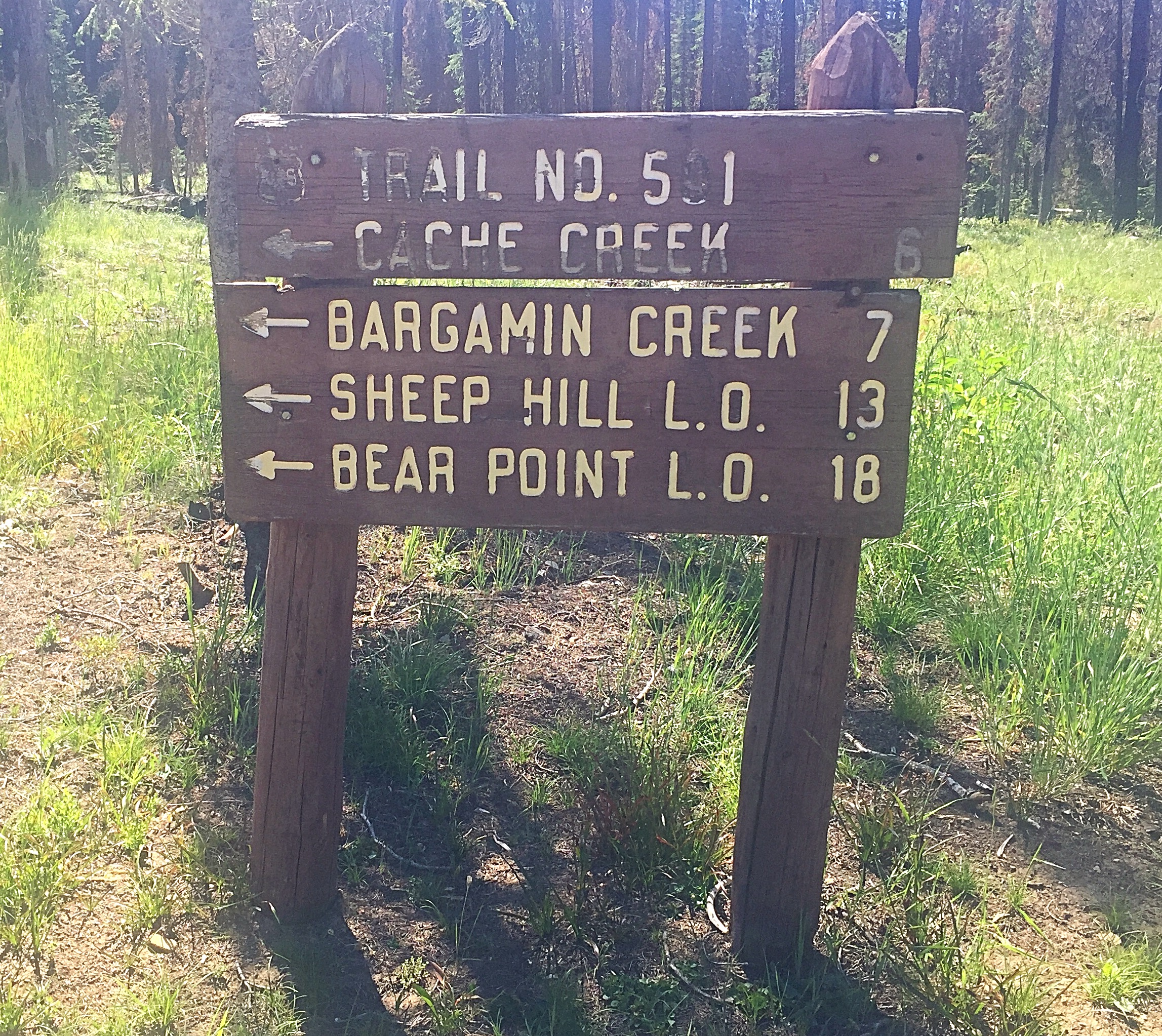 The sign for the FST-501 trail at the 14-Mile Trailhead. This trail leads to Peak 7390.