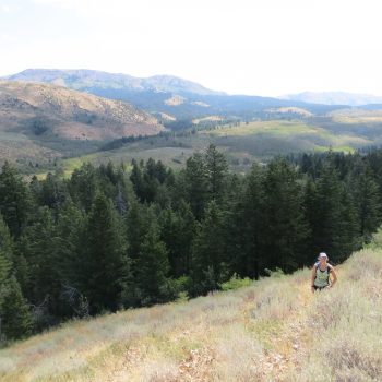 On the eastern slope. Scout Mountain and Old Tom in the background. 