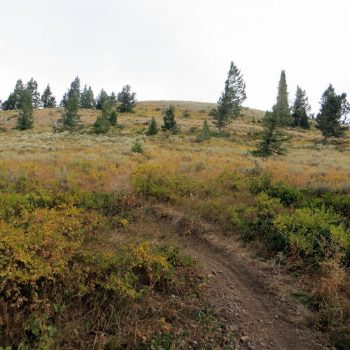 The view of Peak 7834 from the saddle. Steve Mandella photo.