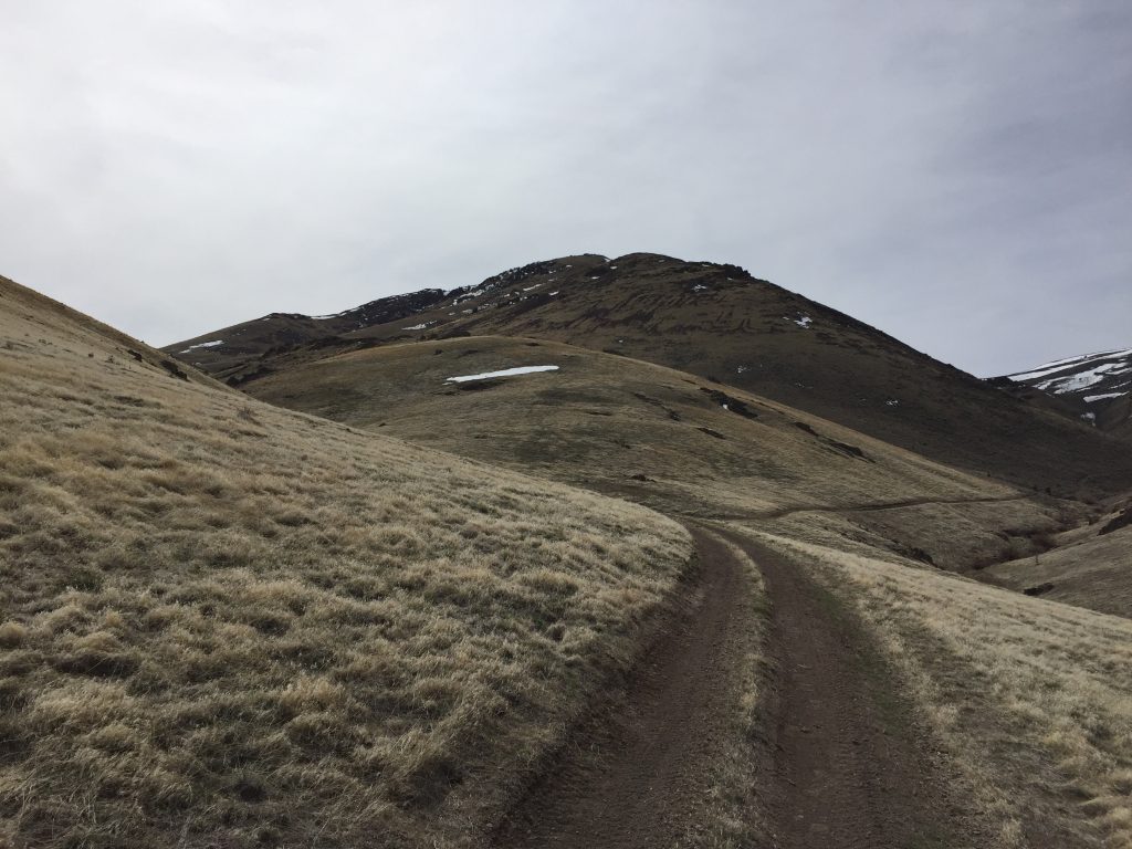 Peak 5591 from the Moores Creek Road.