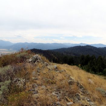 The summit of Squirrel Mountain. Steve Mandella Photo.