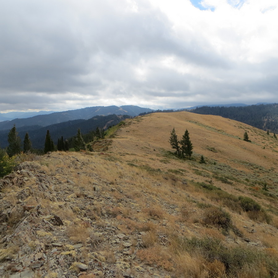 Mt. Manning's gentle summit ridge. photo - Steve Mandella