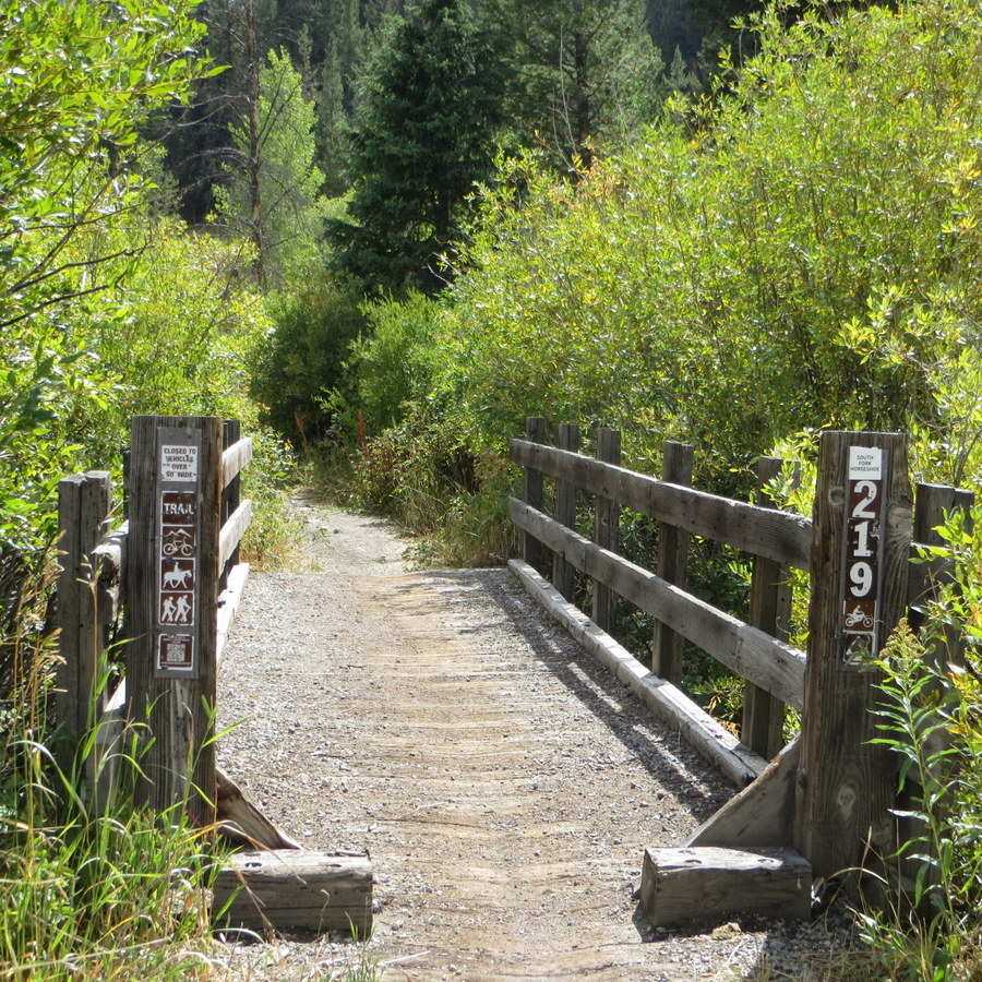 Trail 219 to access Mt. Manning. photo - Steve Mandella