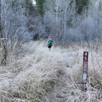 Junction of West Fork Mink Creek and Forest Service Trail #45. Photo - Steve Mandella.