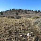 Peak 7060, Bannock County. Photo - Steve Mandella