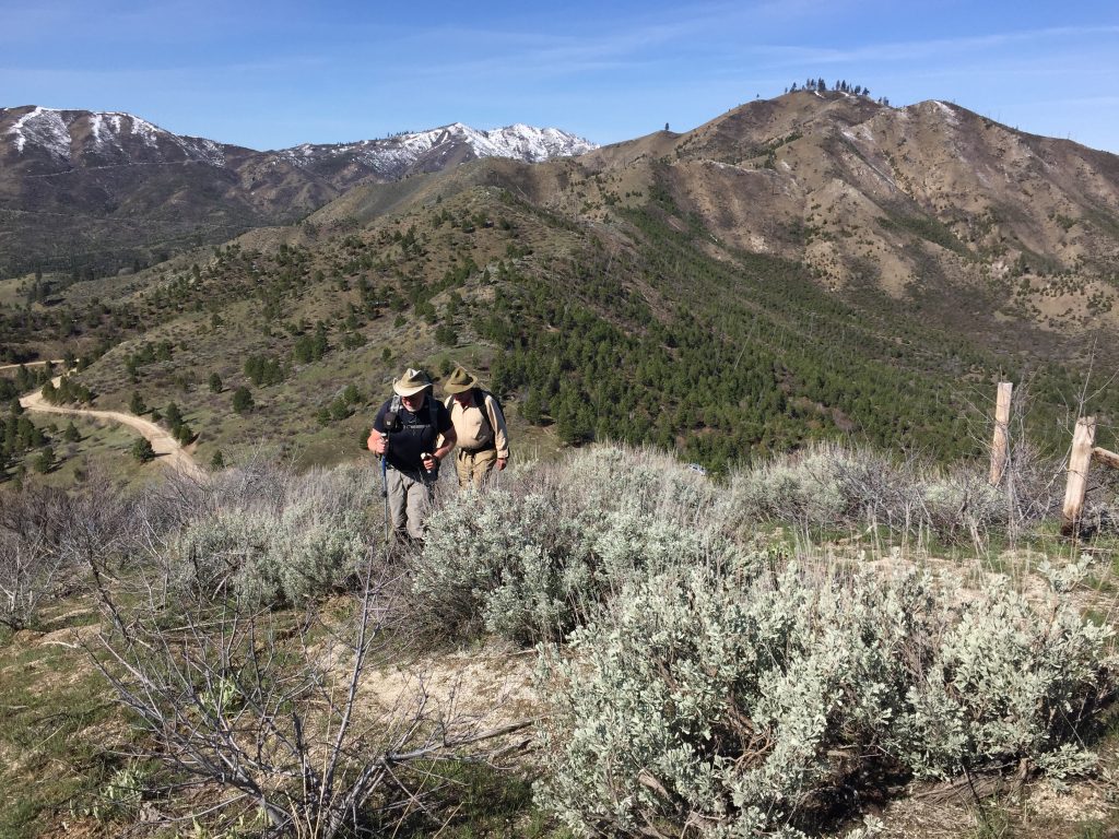 Start out on the south side of a fence line that runs up the ridge. This shot was taken roughly 250 vertical feet above the pass. Peak 5424 is in the background right of center.