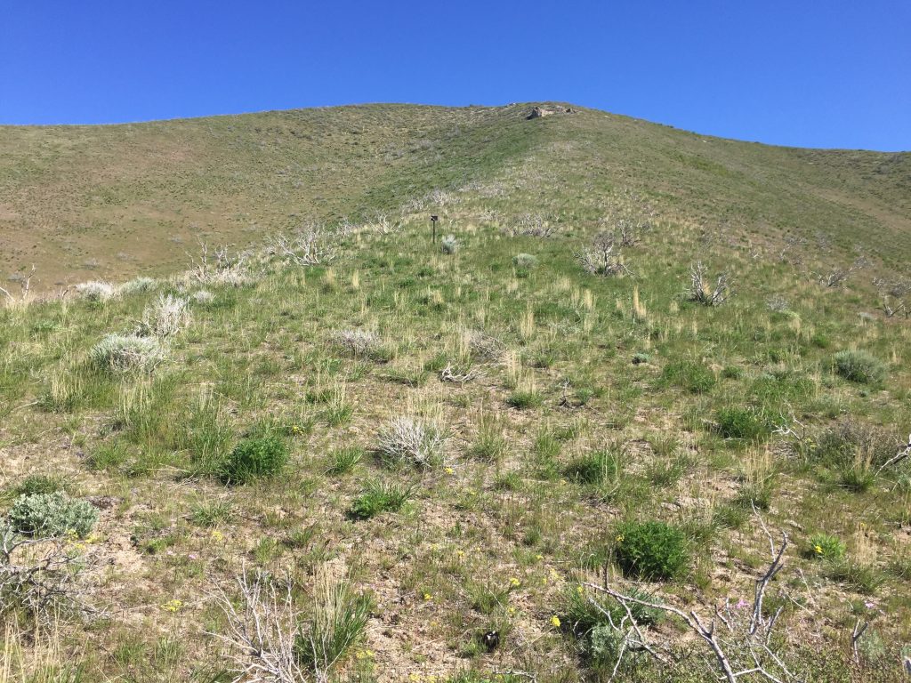 Hiking up,toward the main crest from the two track.