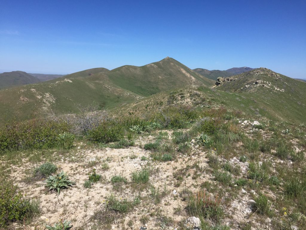 Looking northwest toward the summit.