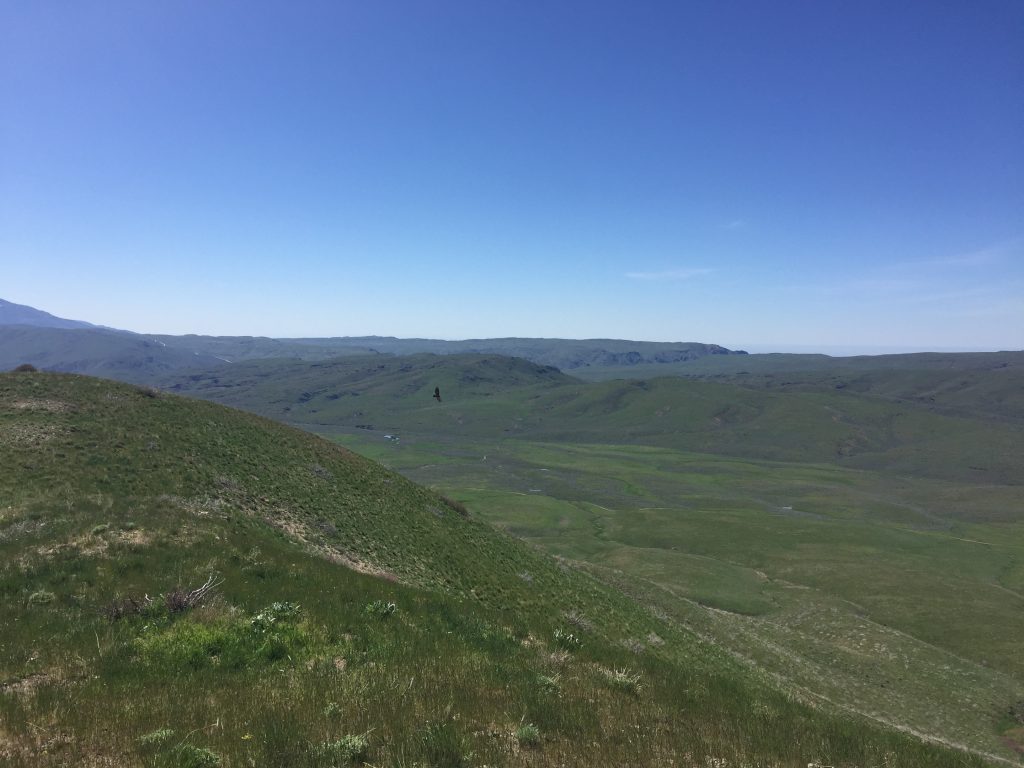 Looking down into the Long Tom Ranch valle