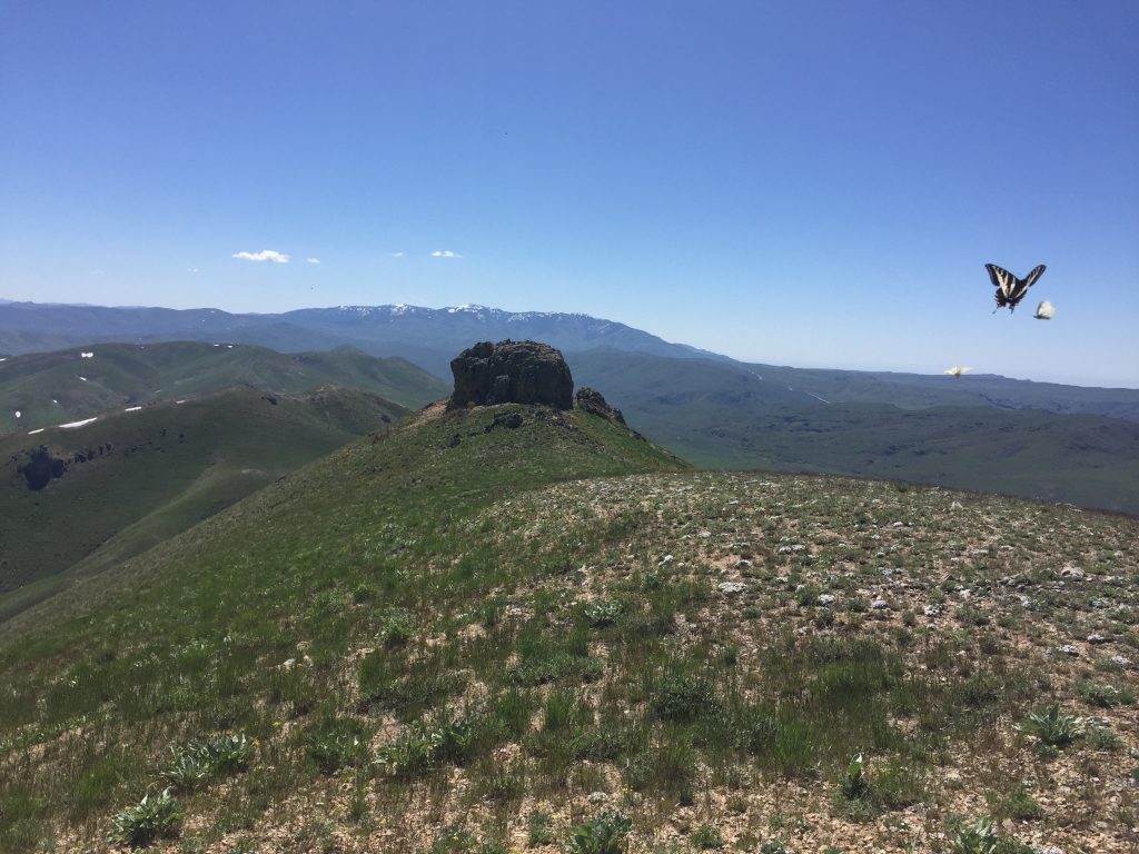 The summit block from the north.