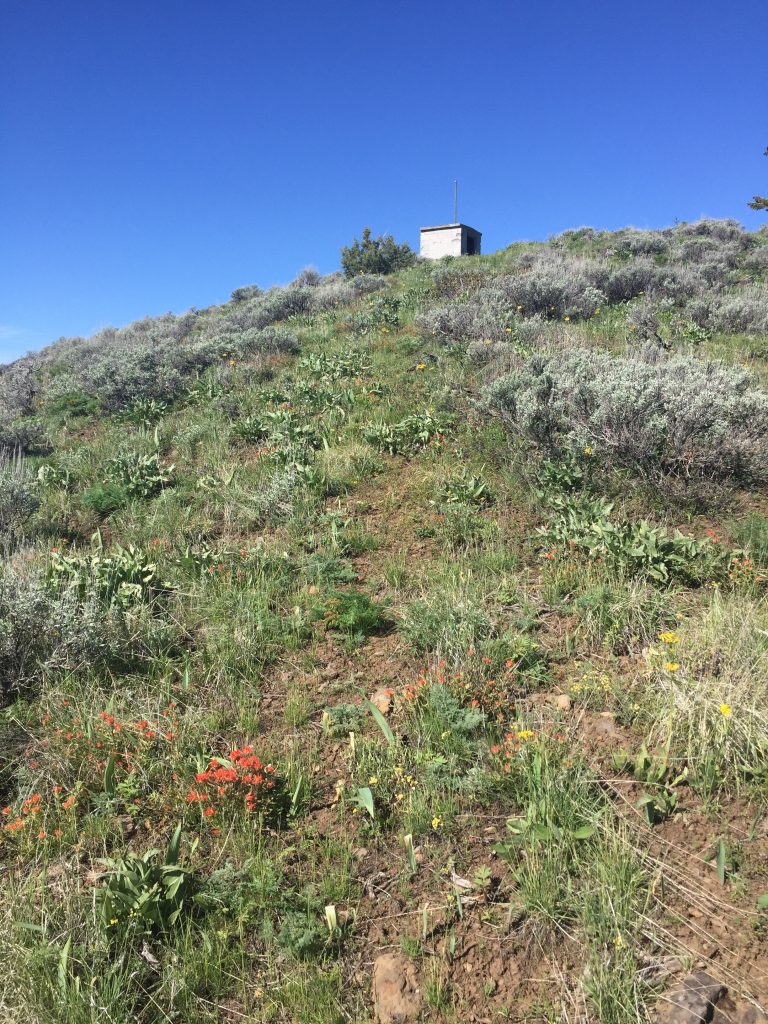 The summit of Monroe Butte is just ahead.