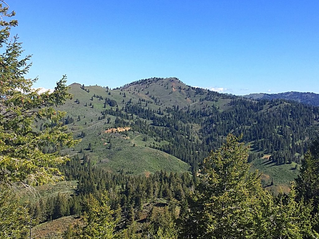 Iron Mountain from Monroe Butte.