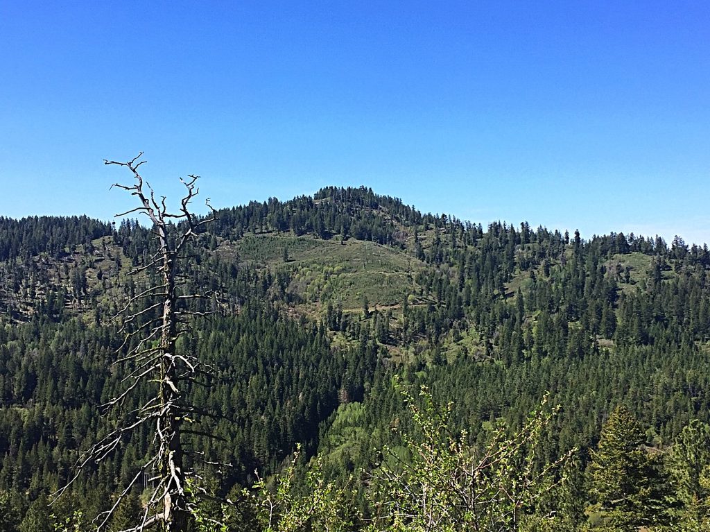 Monroe Butte from the north.