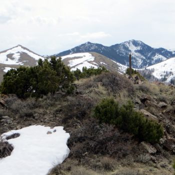 The summit of Peak 6495 with Peak 8037 (behind the summit marker) and Walker Benchmark (left). Photo - Steve Mandella
