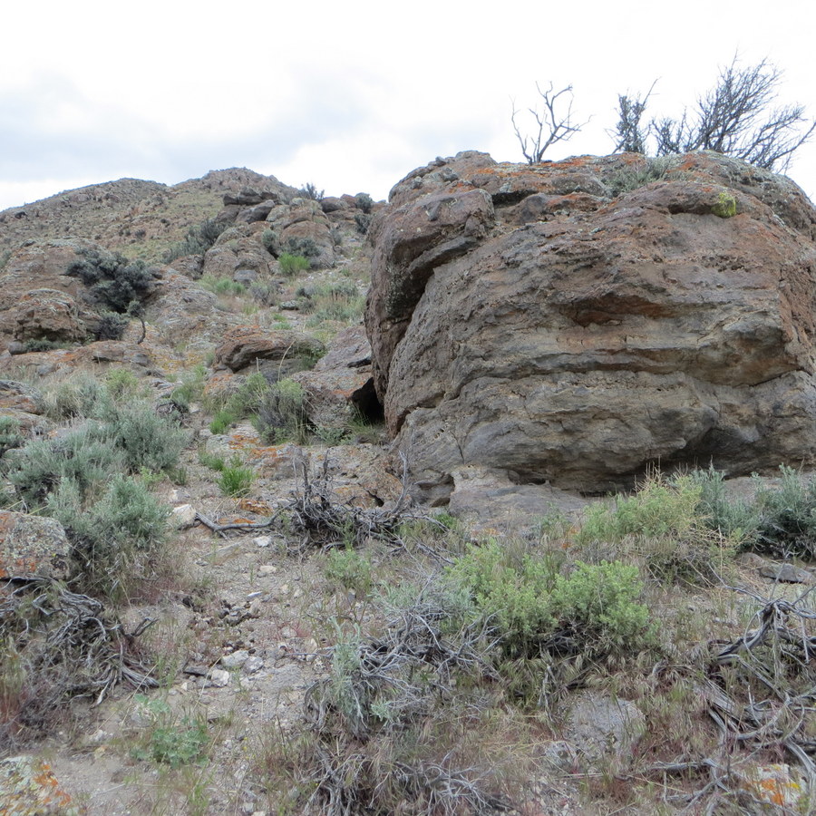 Rock outcrops on the southeast ridge route. Steve Mandella photo.