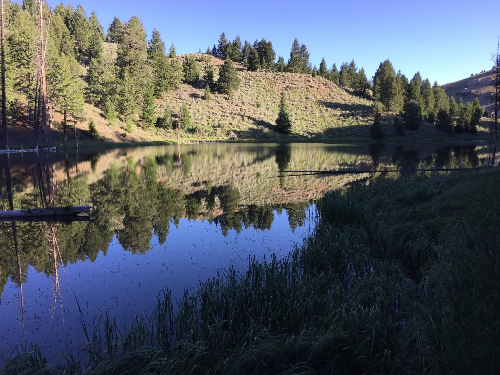 Burnt Creek Lake. The lake is picturesque but the water is foul looking.