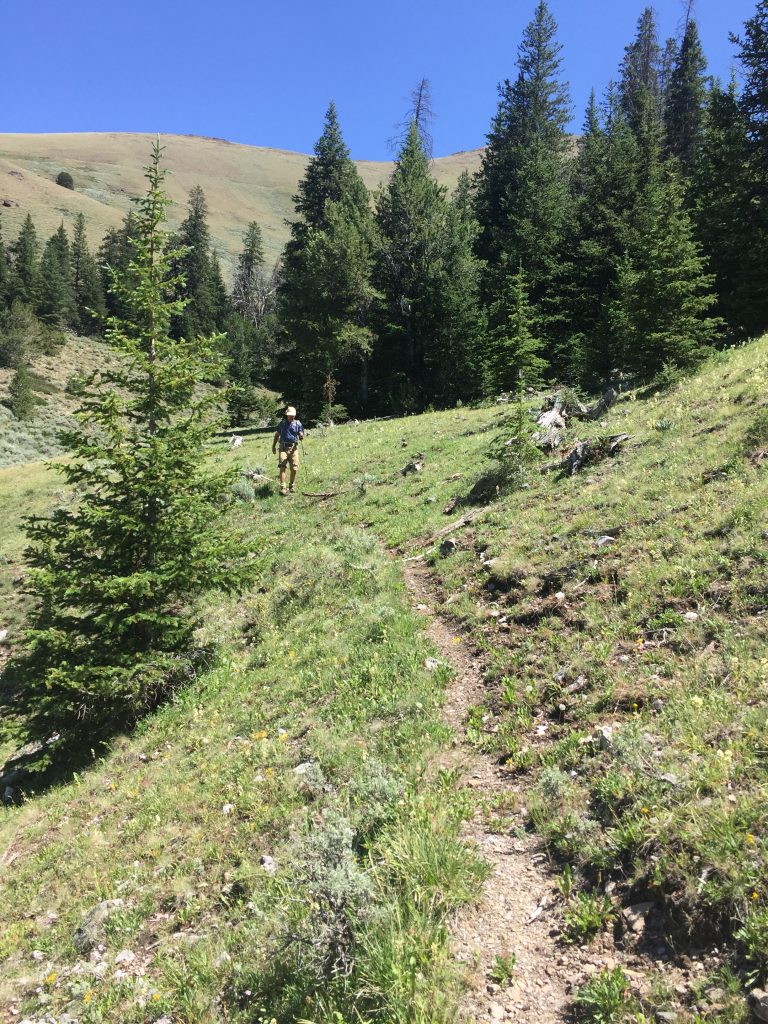 The game trail above the lake is well defined in places.