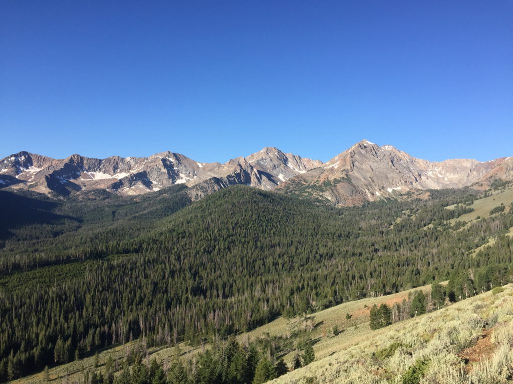 As you climb up the east ridge you will be rewarded with views of many of the range's 11ers.