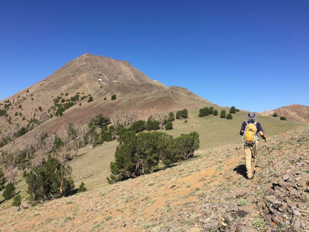 The route joins up with the east ridge on this beautiful saddle.