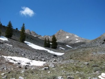 As you reach treeline, you will see the north ridge of Ramshorn Peak. Jaggle's summit is off to the right.