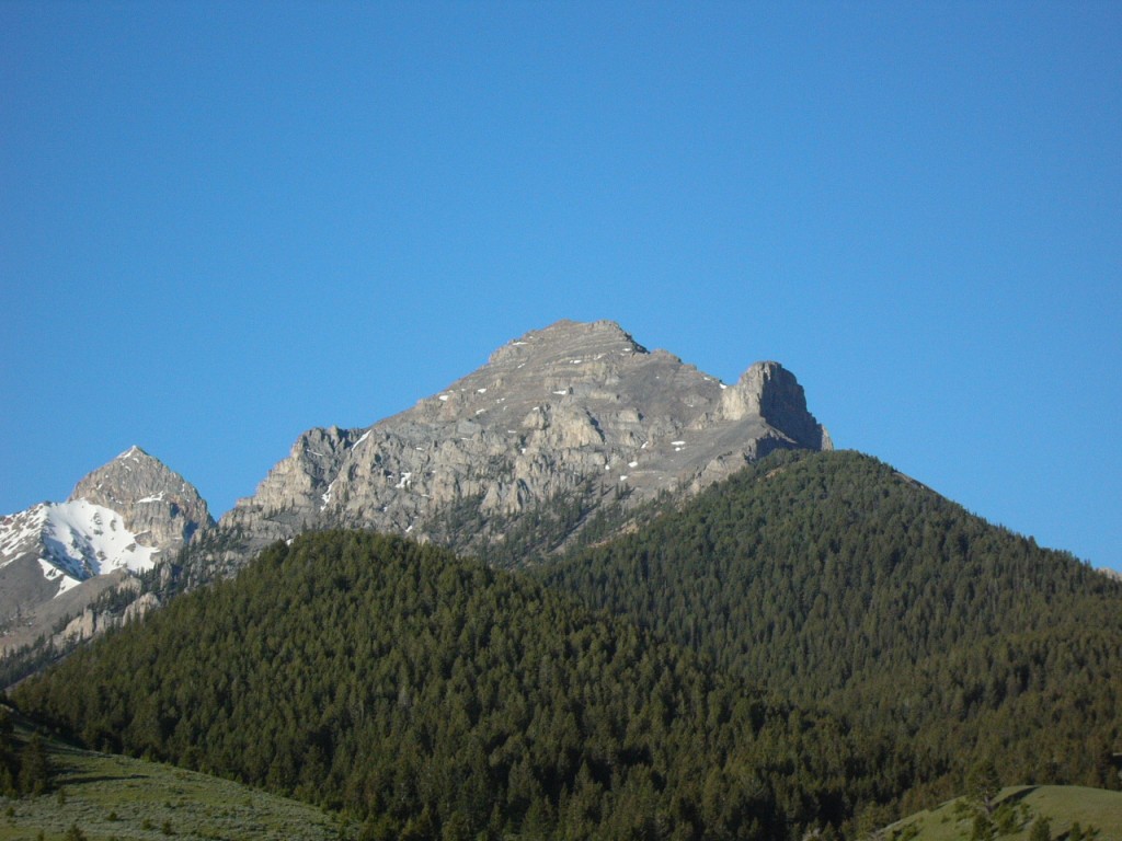 The north ridge is on the right skyline. The route climbs up through the trees, skirts the big tower on the left and then follows the ridge to the summit.