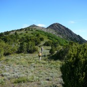 The false summit of Old Tom (right) and the true summit (left) from the south ridge route.