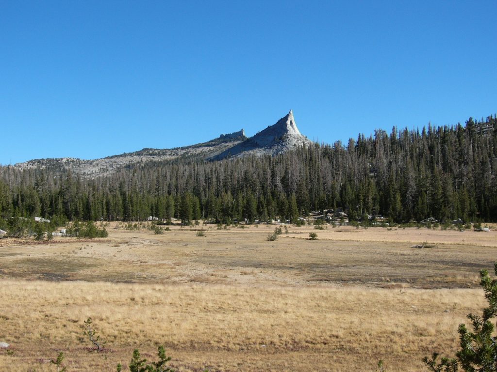 Yosemite 2006