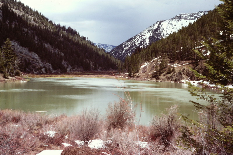 Lower Palisades Lake is the largest lake in the range.