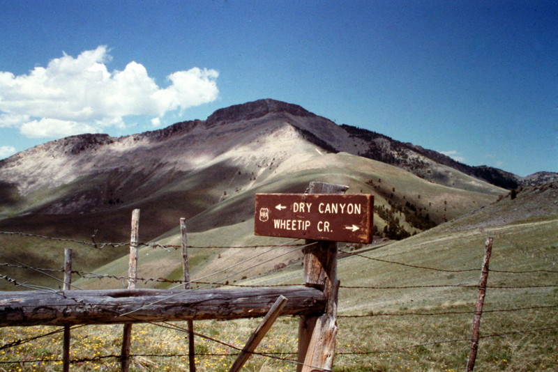 The hike starts on a rolling section of the Continental Divide.