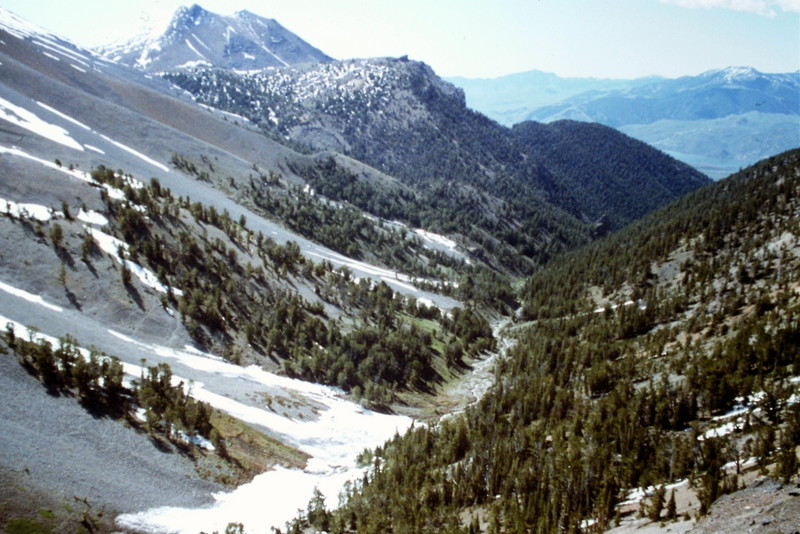 Lone Cedar Creek viewed from Sawmill Pass. 