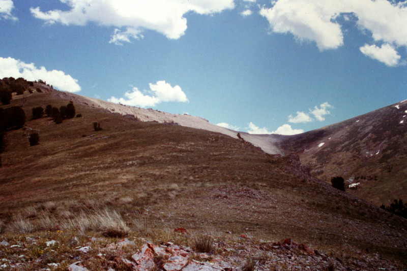 Baldy Mountain