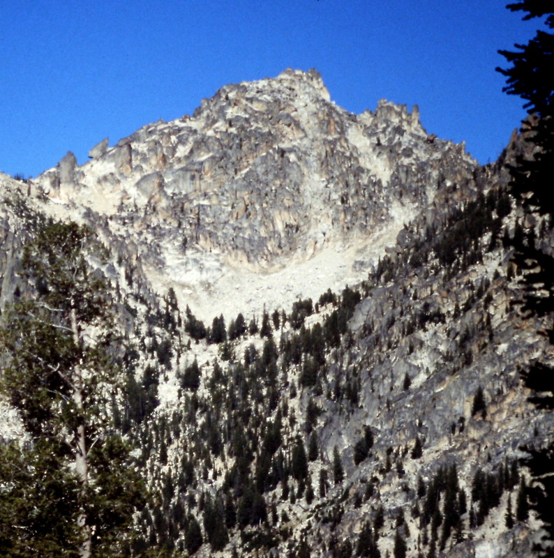 Braxon Peak. The east ridge is on the right sky line. The approach climbs up the drainage in the center of the photo. From the basin at the top of the tree, the route goes to your right, and climbs to the east ridge. Aim for a point west of the lowest point to avoid to towers on the ridge.