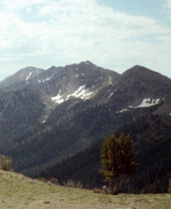 Rock Roll Peak from the North Fork Trail Creek.