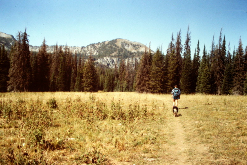 The hike into Hard Butte crosses large meadows.