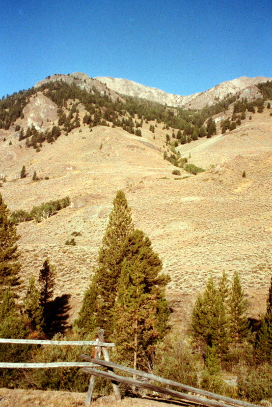 Peak 10405 viewed from the East Fork Salmon River.