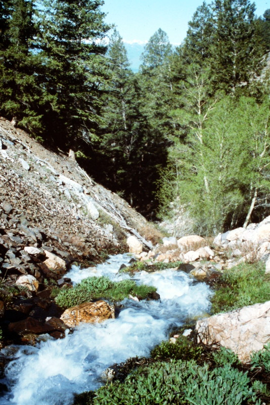 I have not traversed Sawmill Gulch since 1993 but recent reports state the road and the trail are still in passable condition. As far as scenery goes, the trail crosses some great country.