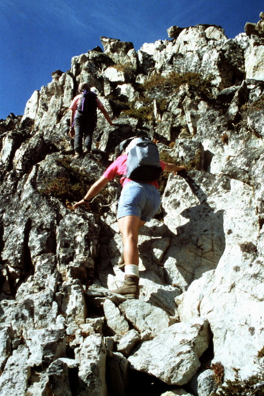 Dana Hansen and Basil Service climbing the upper section of the East Side Route.
