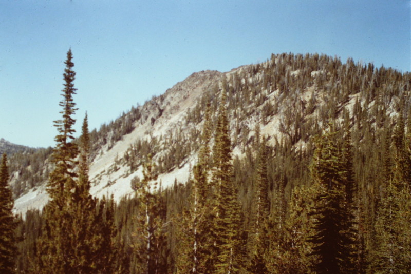 This is a view of the peak just south of Thunderbolt from the trail.