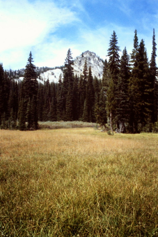 The trail up the peak from Johnson Creek starts in a meadow with nice views of the granite encrusted terrain ahead.